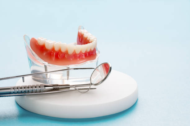 Best Veneers and Lumineers  in Seminole, FL