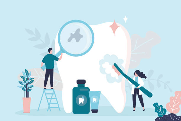 Best Preventive Dentistry  in Seminole, FL